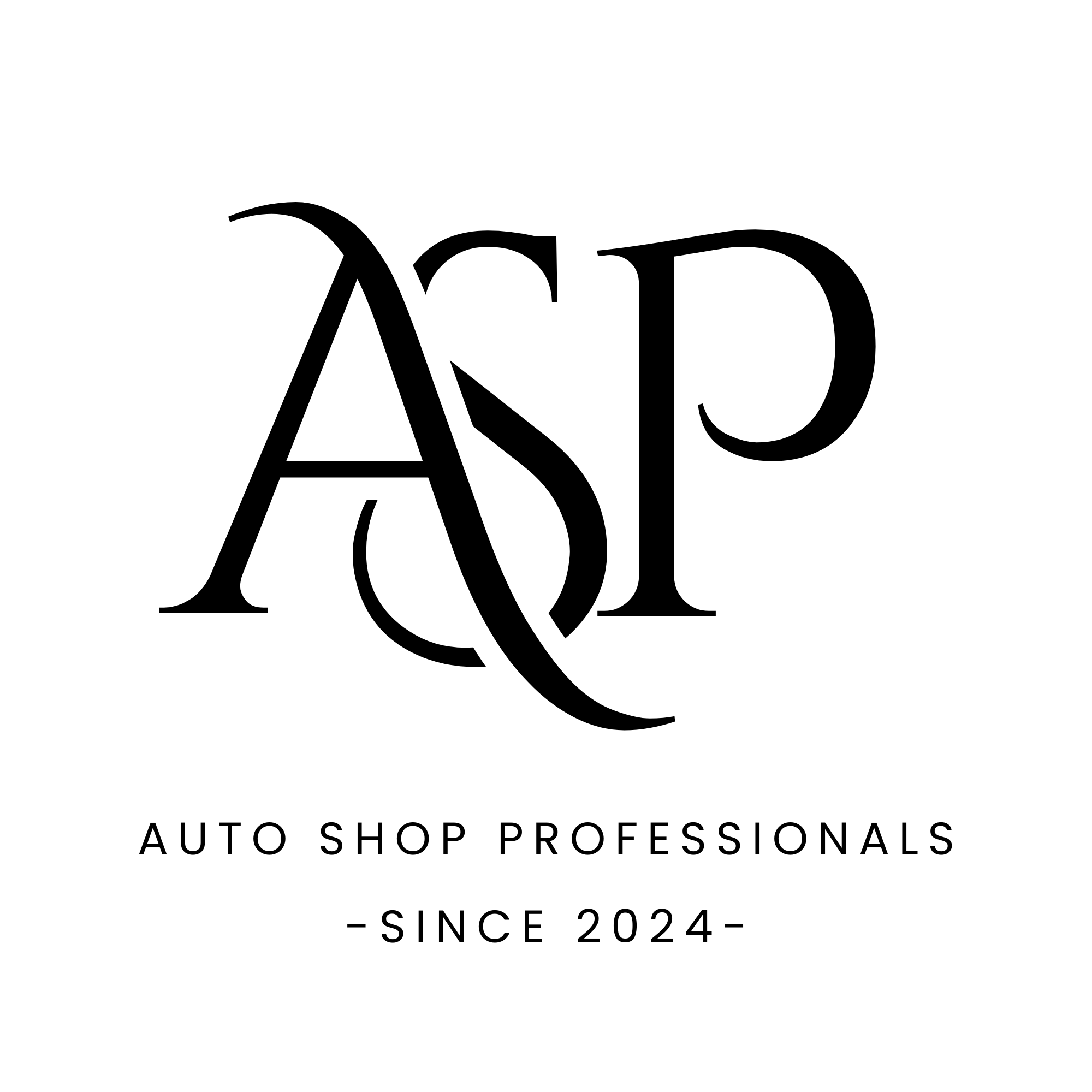Auto Shop Professionals